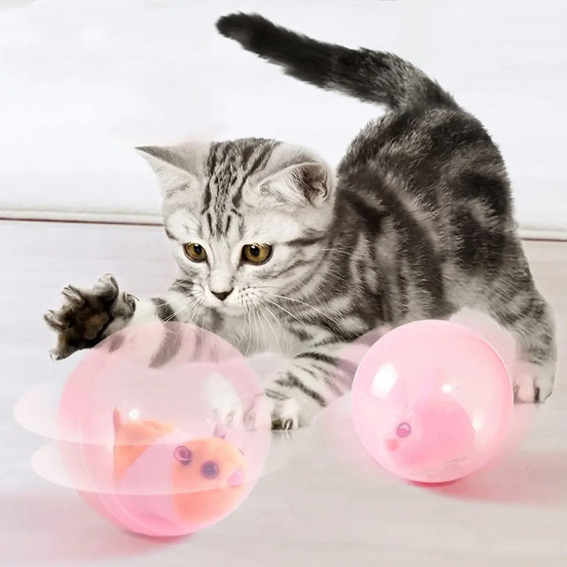 Rollend Kattenspeeltje - FurryRoller