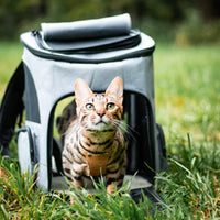Cat Backpack - PurrPack™