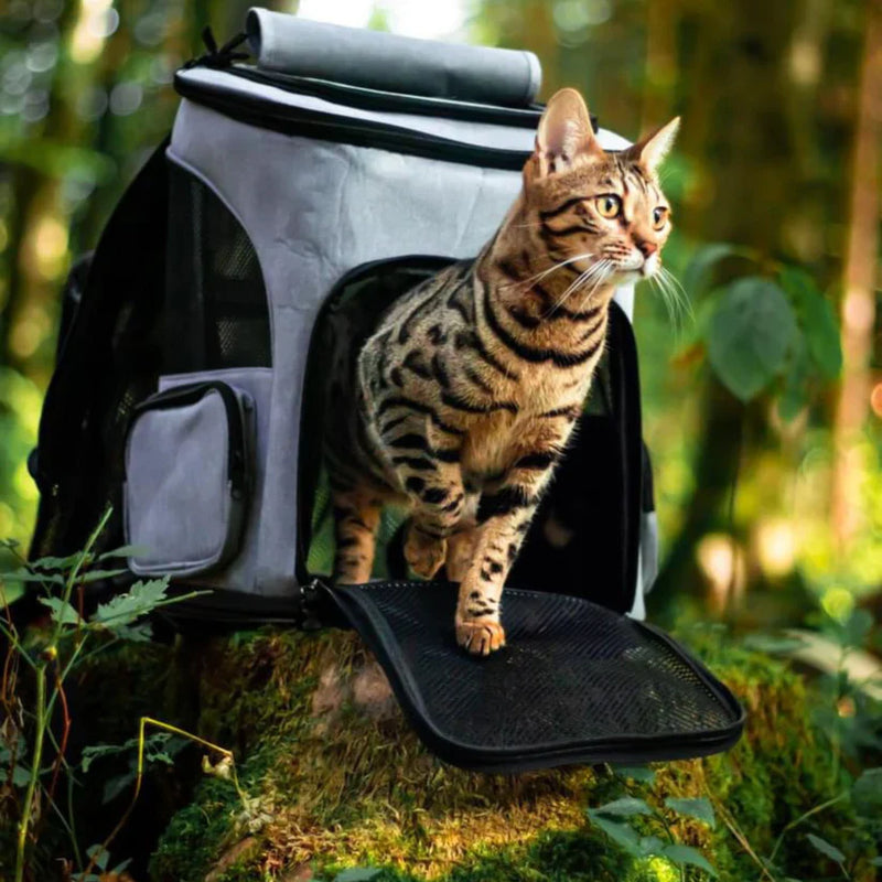 Cat Backpack - PurrPack™