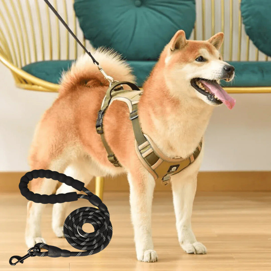 Anti-Pull Dog Harness with Comfort Padding – PullFree