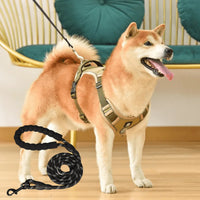 Anti-Pull Dog Harness with Comfort Padding – PullFree