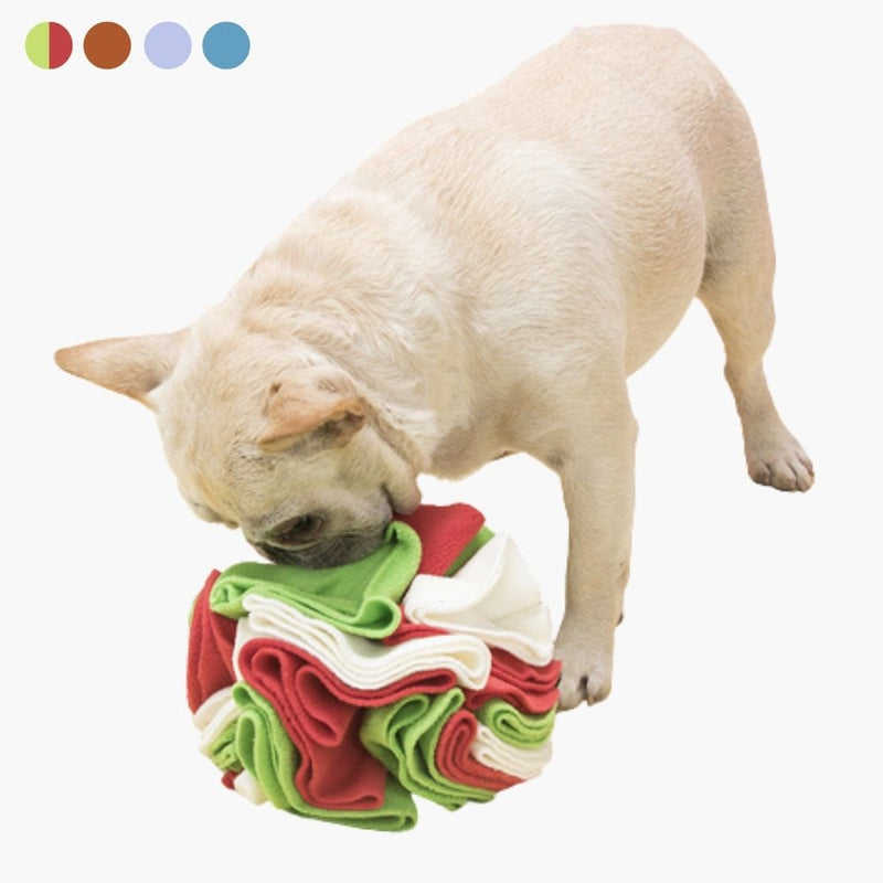 Snuffelbal voor Honden - PawMaze