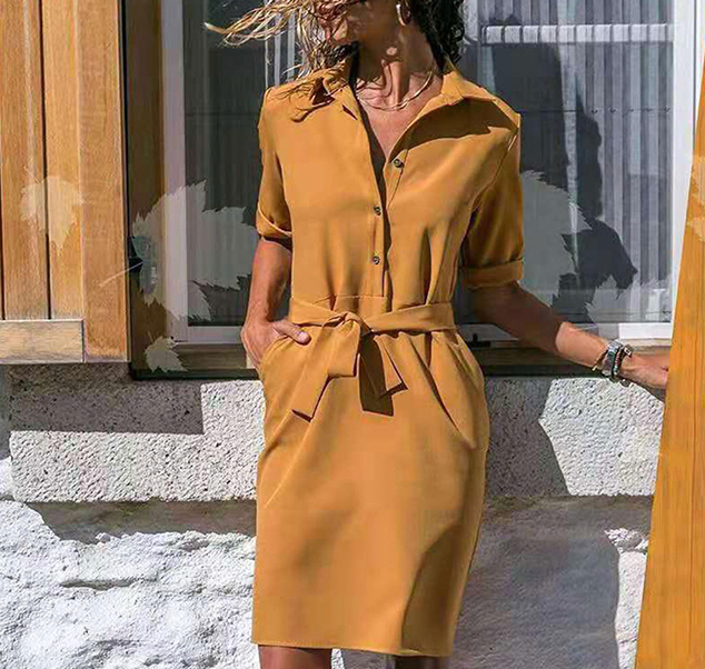 Kragenhemdkleid Mit Taille - Delia