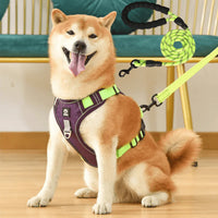Anti-Pull Dog Harness with Comfort Padding – PullFree