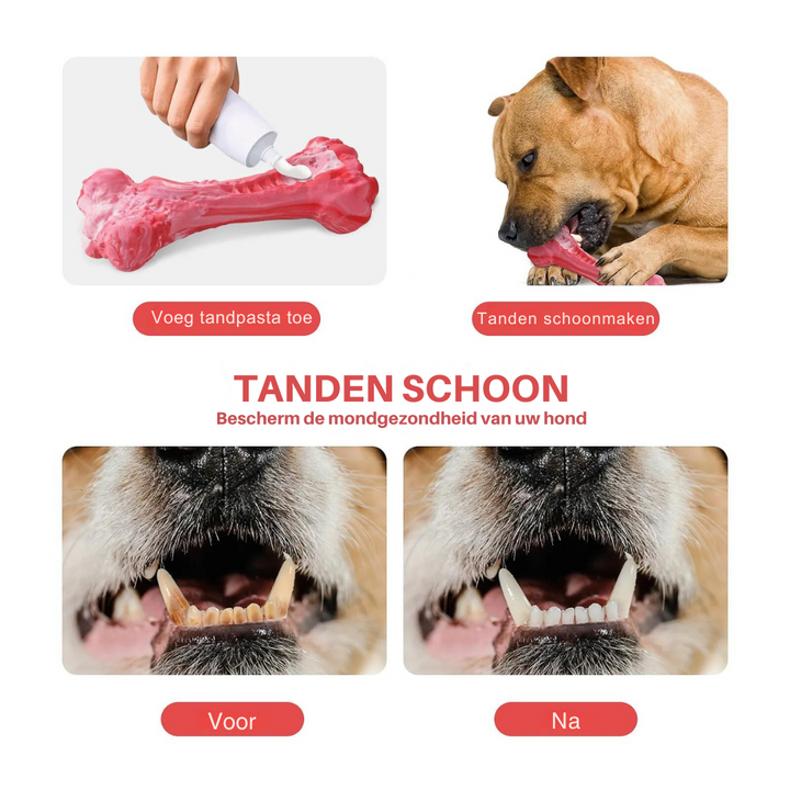 The Playful Dental Care Toy for Dogs - BuddyChew