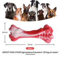 The Playful Dental Care Toy for Dogs - BuddyChew