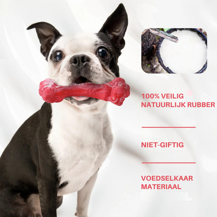 The Playful Dental Care Toy for Dogs - BuddyChew