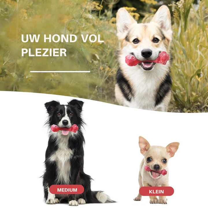 The Playful Dental Care Toy for Dogs - BuddyChew