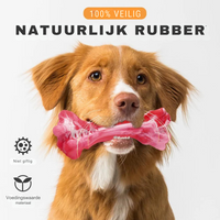 The Playful Dental Care Toy for Dogs - BuddyChew