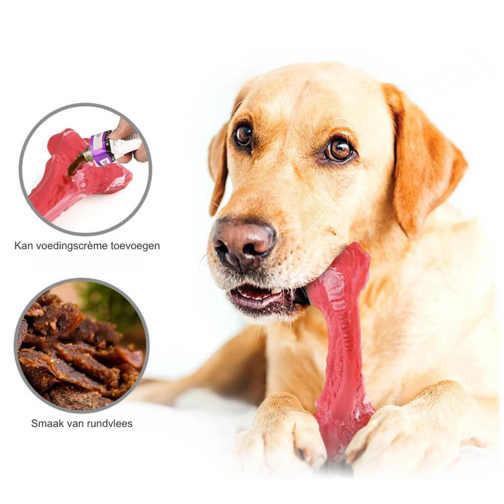 The Playful Dental Care Toy for Dogs - BuddyChew