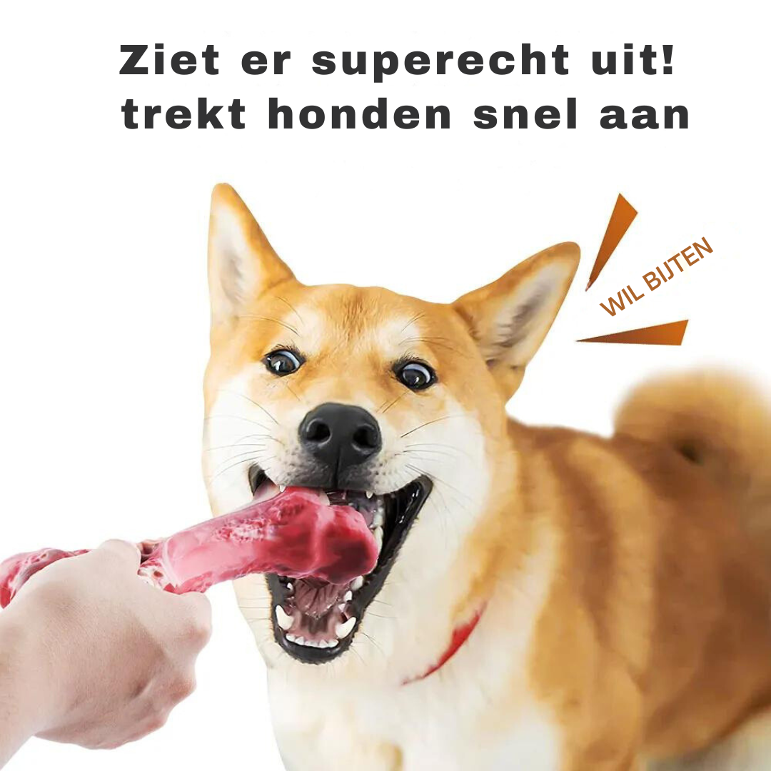 The Playful Dental Care Toy for Dogs - BuddyChew