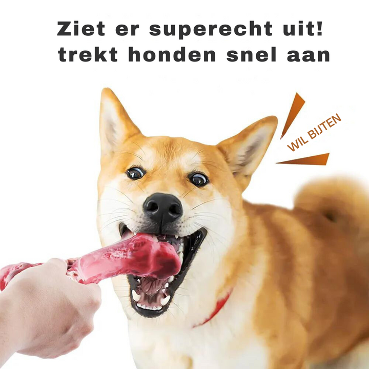 The Playful Dental Care Toy for Dogs - BuddyChew