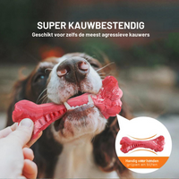 The Playful Dental Care Toy for Dogs - BuddyChew