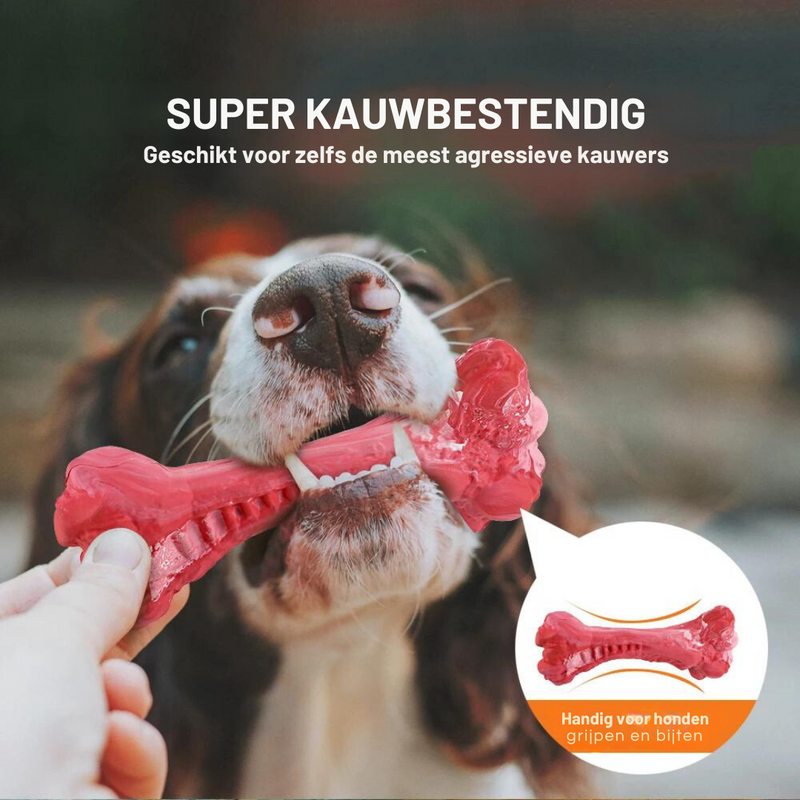 The Playful Dental Care Toy for Dogs - BuddyChew