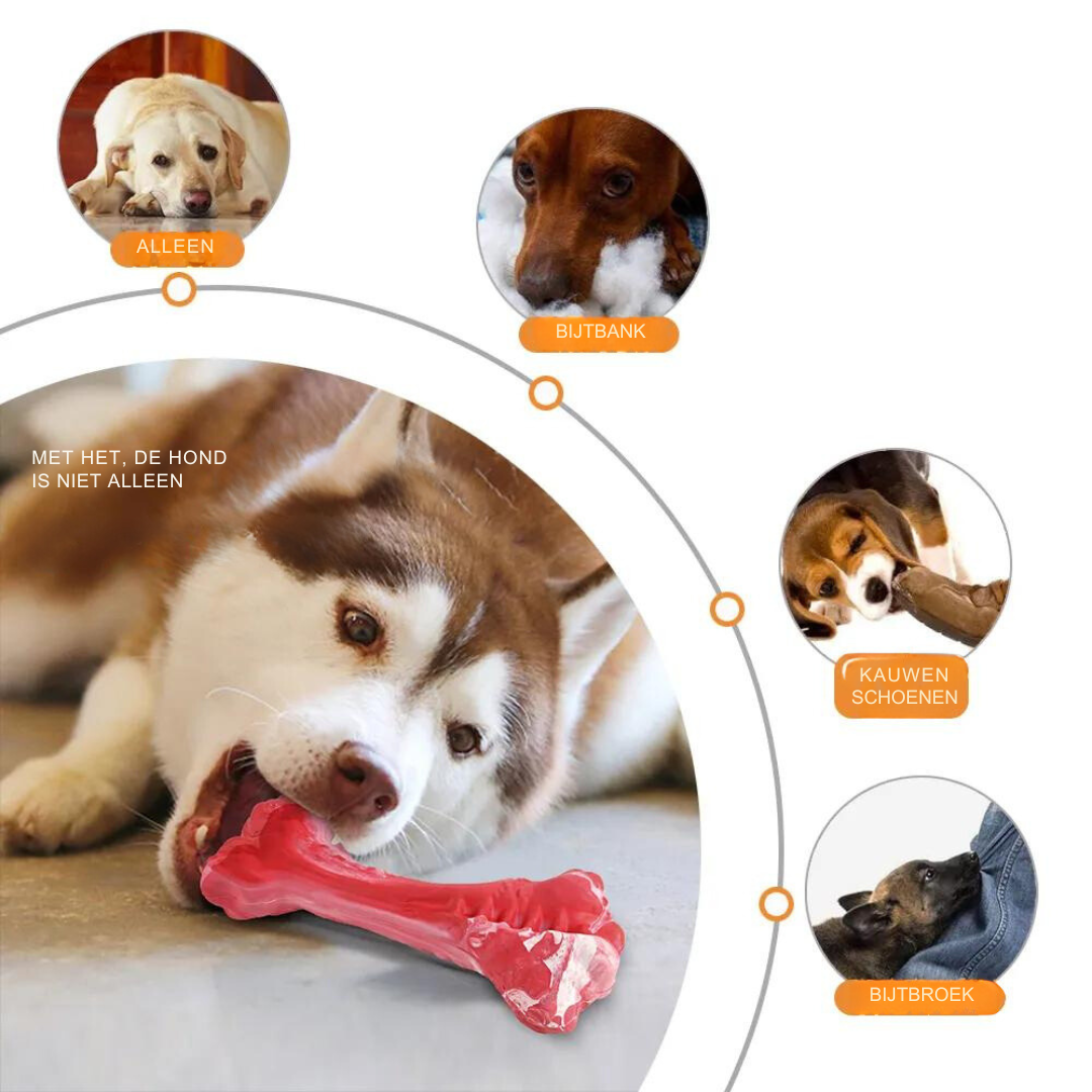 The Playful Dental Care Toy for Dogs - BuddyChew