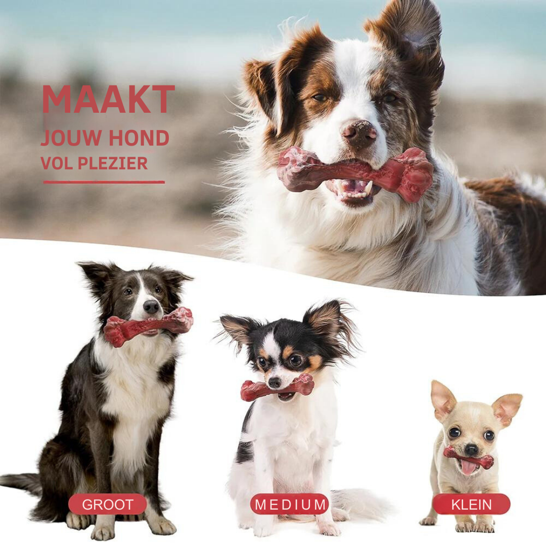 The Playful Dental Care Toy for Dogs - BuddyChew