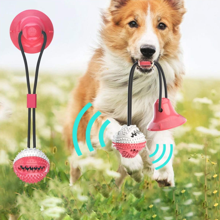 Stevig Hondentrektouw - PlayPaw