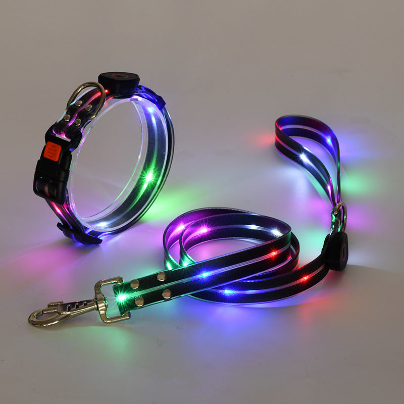 Glowing LED Dog Collar with Leash - NightBright