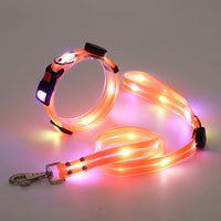 Glowing LED Dog Collar with Leash - NightBright