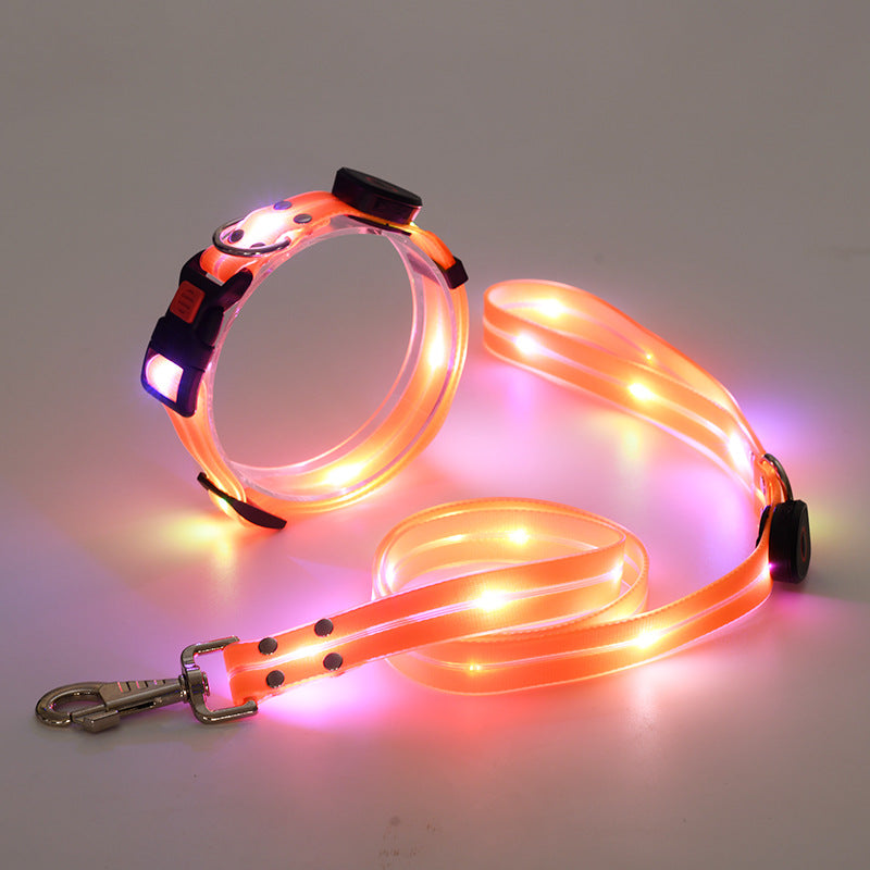 Glowing LED Dog Collar with Leash - NightBright