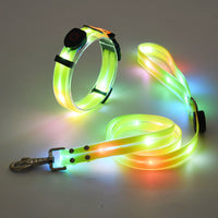 Glowing LED Dog Collar with Leash - NightBright
