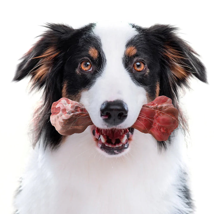 The Playful Dental Care Toy for Dogs - BuddyChew