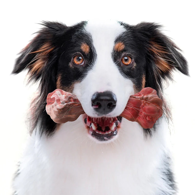 The Playful Dental Care Toy for Dogs - BuddyChew