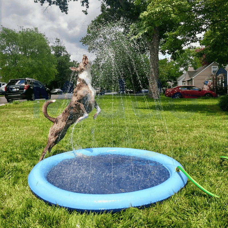 Play Pool with Water Jets – SplashZone