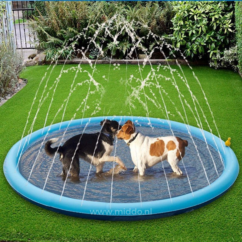 Play Pool with Water Jets – SplashZone