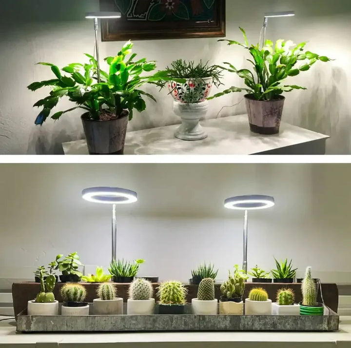 Full Spectrum LED Grow Light with Timer and Dimmer Function 2