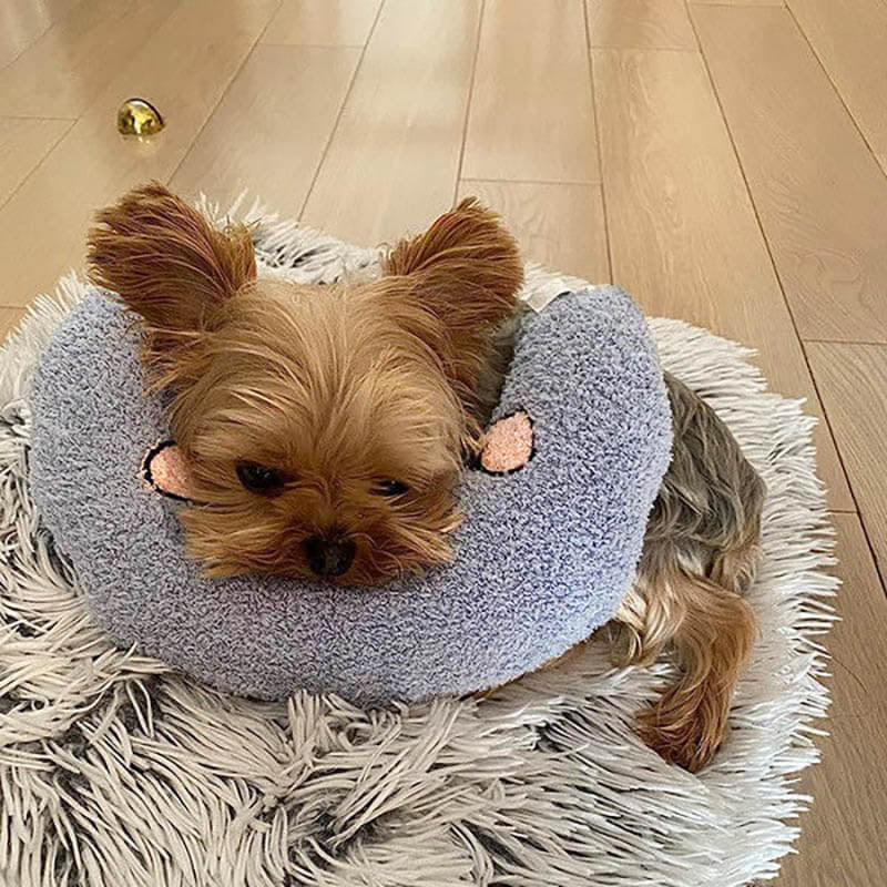 Comfortable Cushion for Dogs - CalmNest