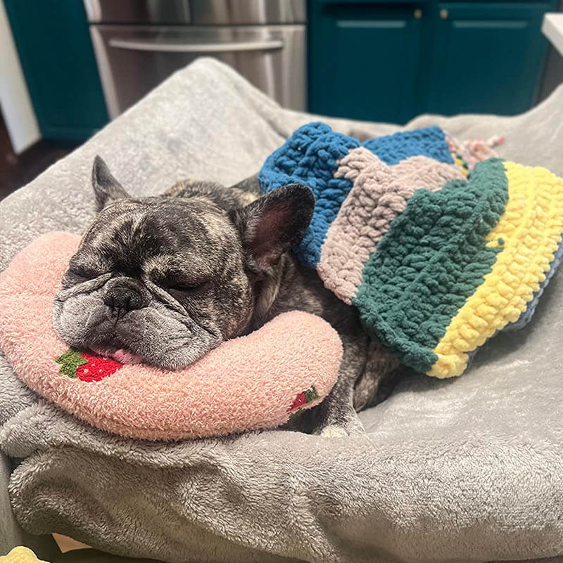 Comfortable Cushion for Dogs - CalmNest