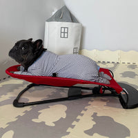 Luxe Schommelstoel voor Honden - Swingo
