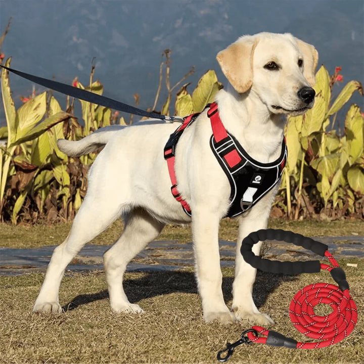 Anti-Pull Dog Harness with Comfort Padding – PullFree