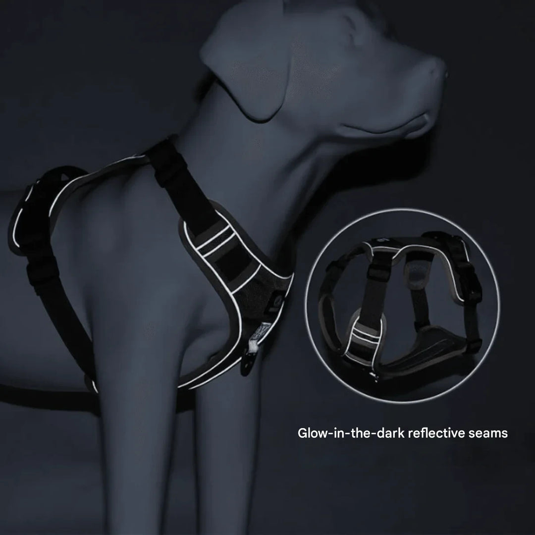 Anti-Pull Dog Harness with Comfort Padding – PullFree