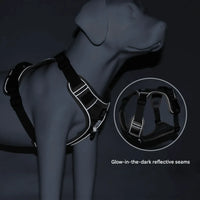 Anti-Pull Dog Harness with Comfort Padding – PullFree