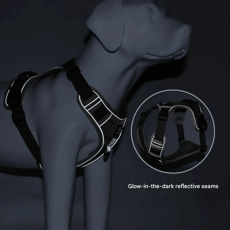 Anti-Pull Dog Harness with Comfort Padding – PullFree