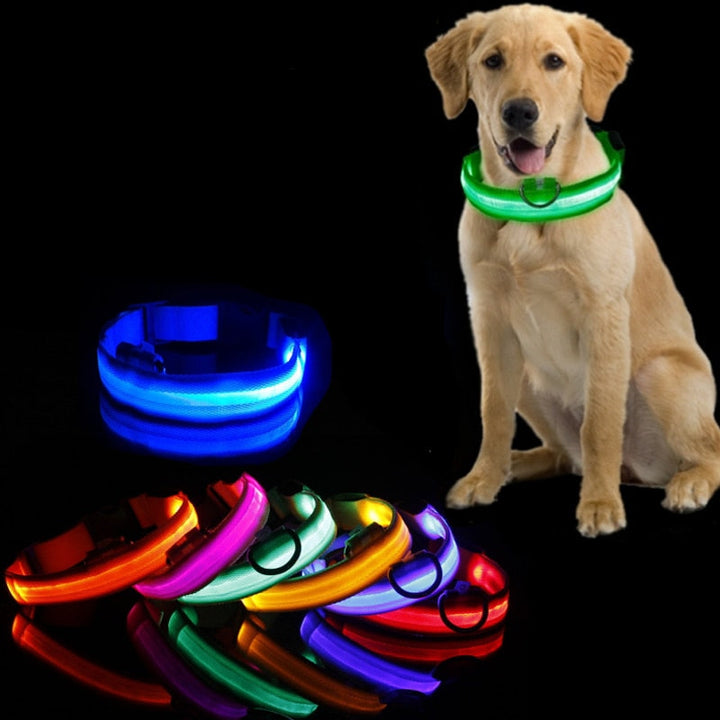 Obroża dla psa z oświetleniem LED - GlowCollar