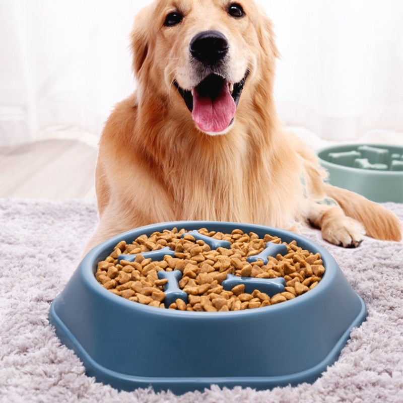 Slow Feeder Bowl - PawMaze™