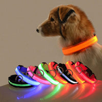 Obroża dla psa z oświetleniem LED - GlowCollar