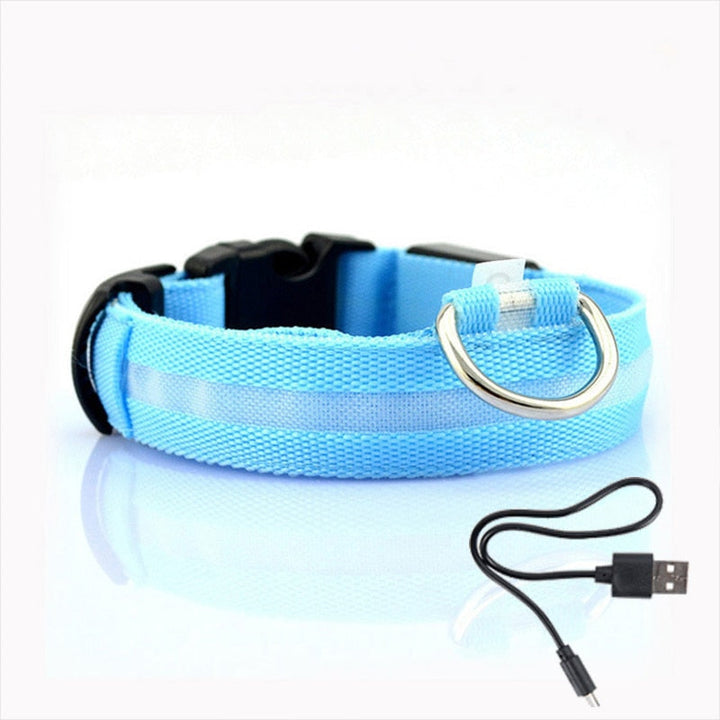 Obroża dla psa z oświetleniem LED - GlowCollar