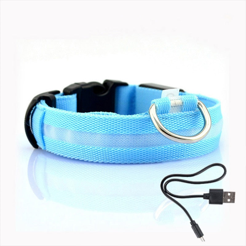 Obroża dla psa z oświetleniem LED - GlowCollar