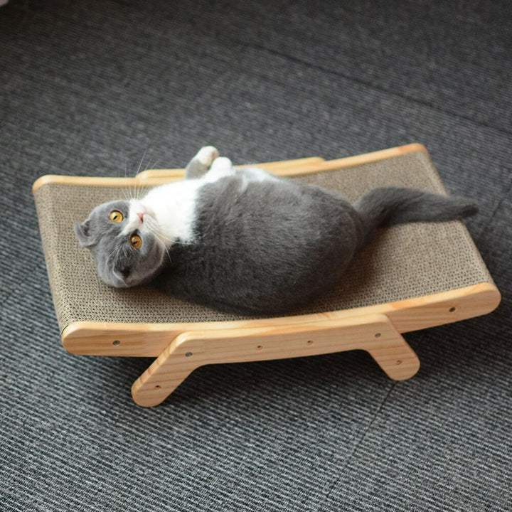 Katten Krabbed - Luna