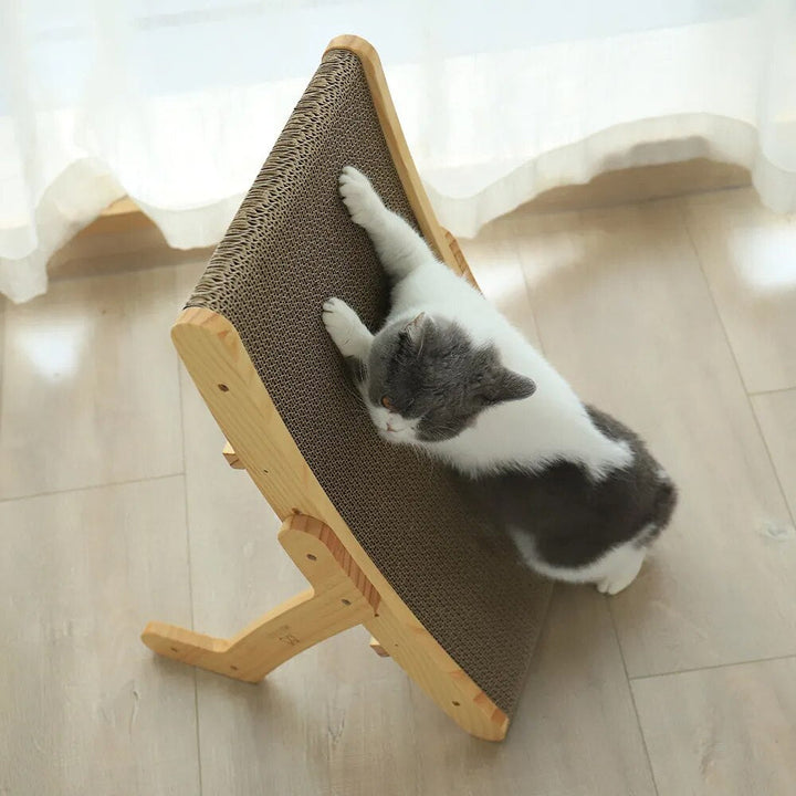 Katten Krabbed - Luna
