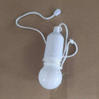 Colorful Portable Hanging Lamp - ChromaGlow