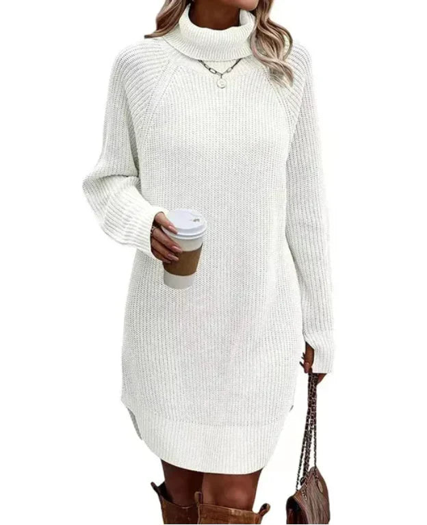 Stylish Knitted Dress with Turtleneck – Maris