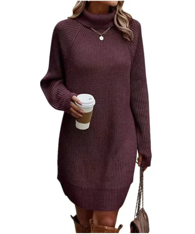 Stylish Knitted Dress with Turtleneck – Maris