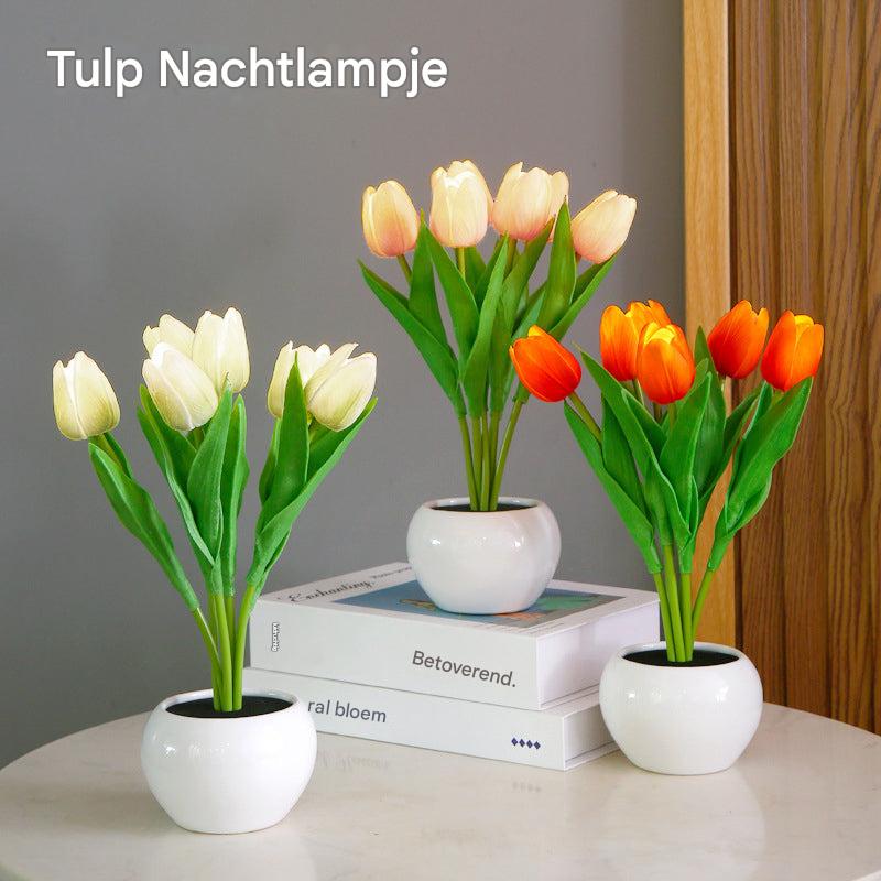 Tulip Night Light - LumiTulip
