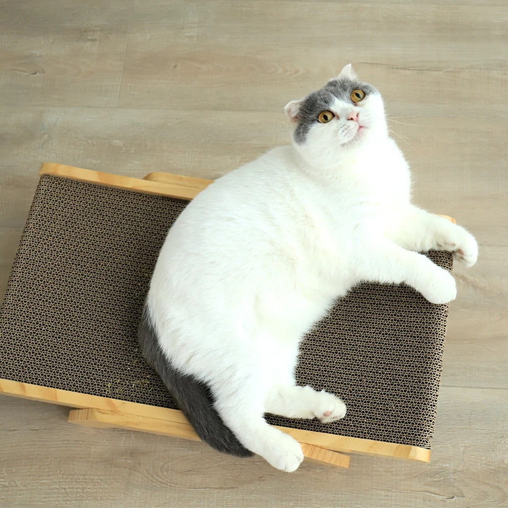 Katten Krabbed - Luna