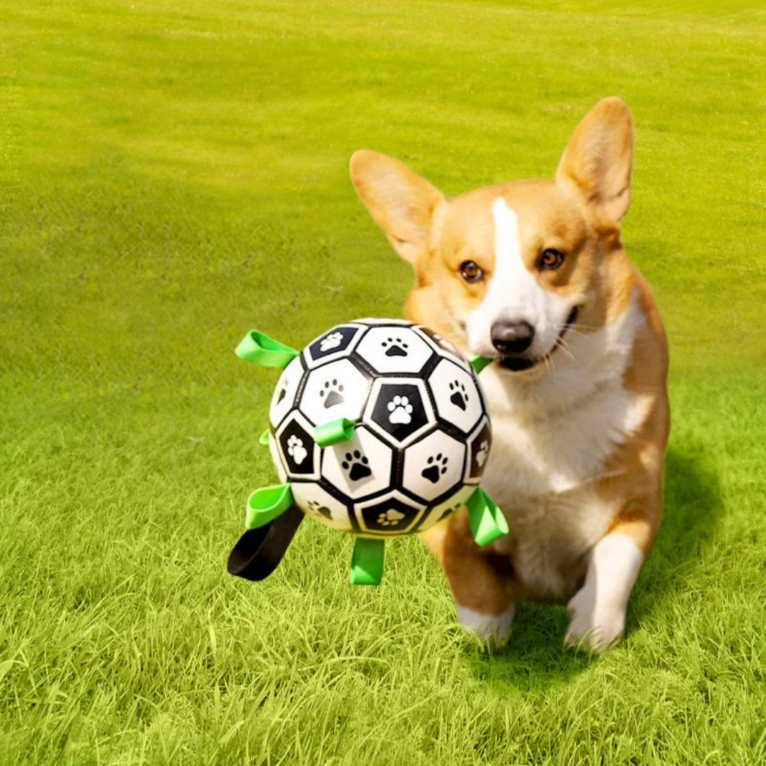 Durable Dog Soccer Ball with Handles – TugBounce